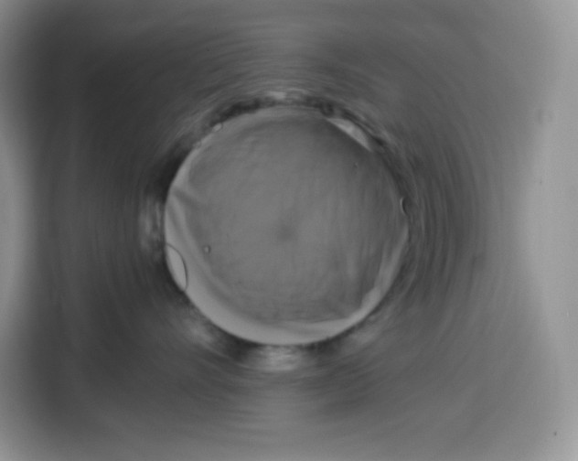 X0000115100528200911241236