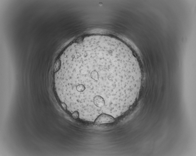 X0000115100529200911241235