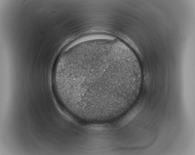 X0000115100530200911241235