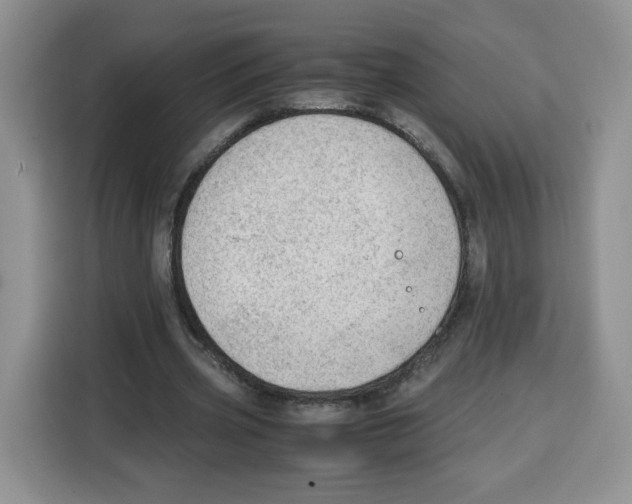 X0000115100533200911241235