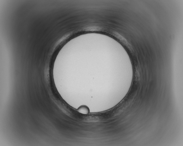 X0000115100535200911241235