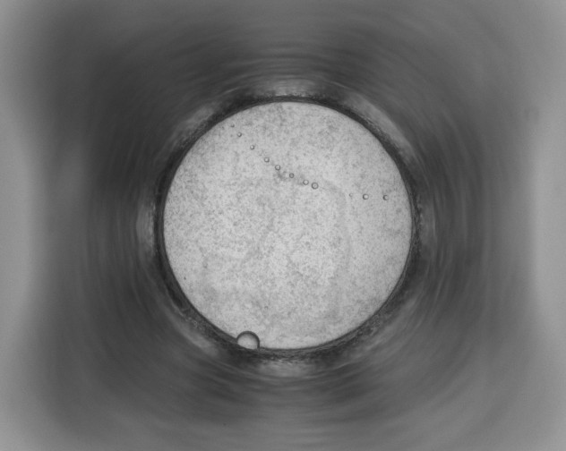 X0000115100537200911241235