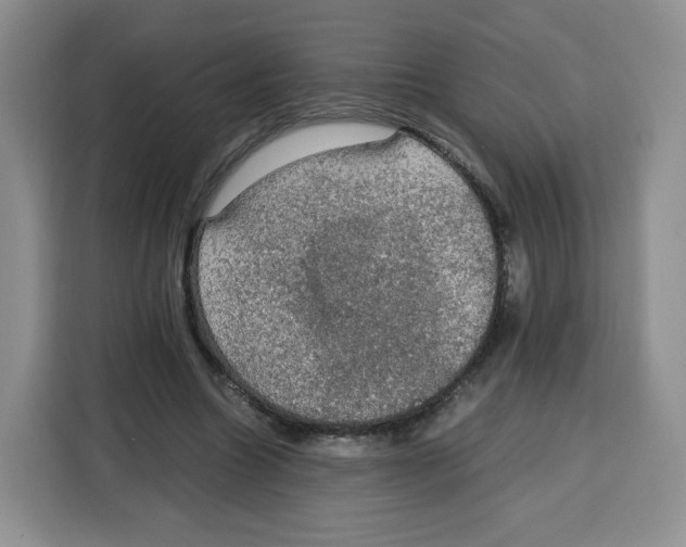 X0000115100538200911241235