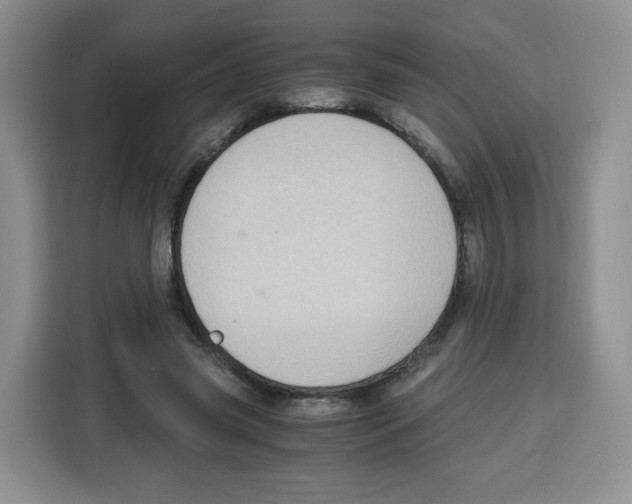 X0000115100541200911241235