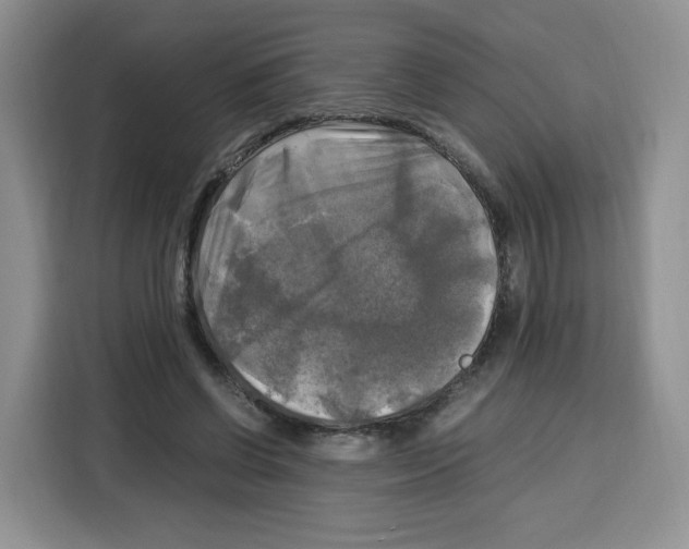 X0000115100542200911241235