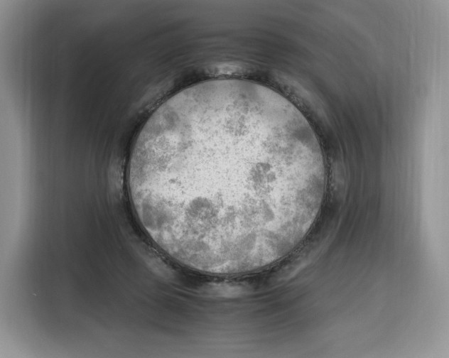 X0000115100545200911241235