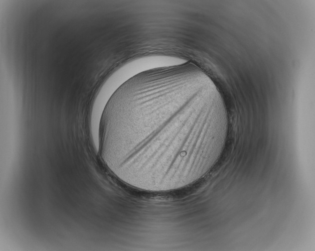 X0000115100546200911241235