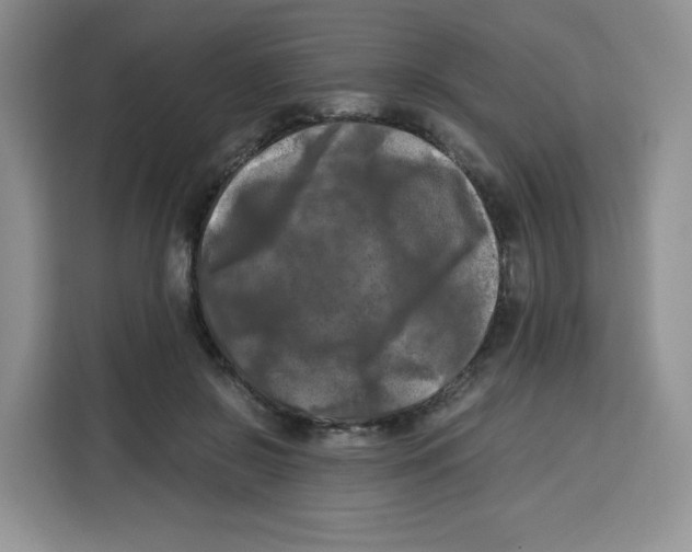 X0000115100550200911241236