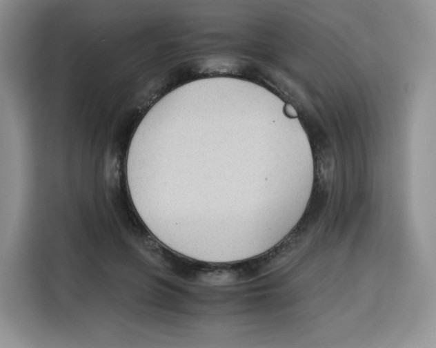 X0000115100551200911241236