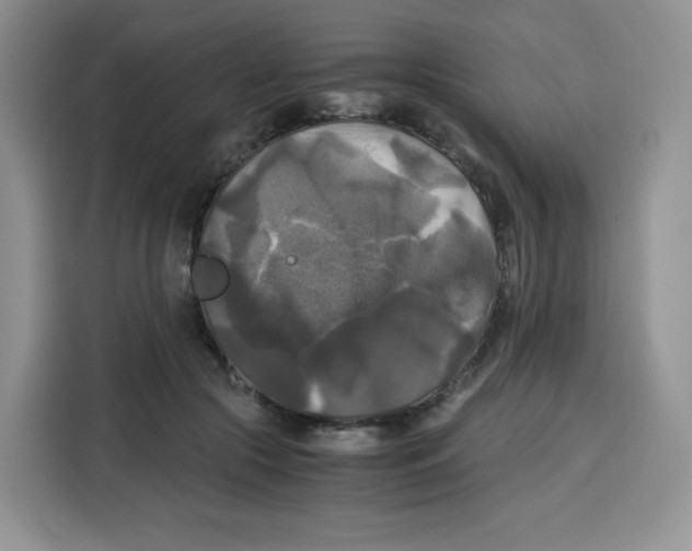 X0000115100553200911241236