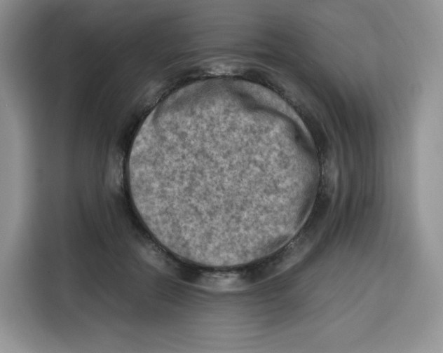 X0000115100554200911241236