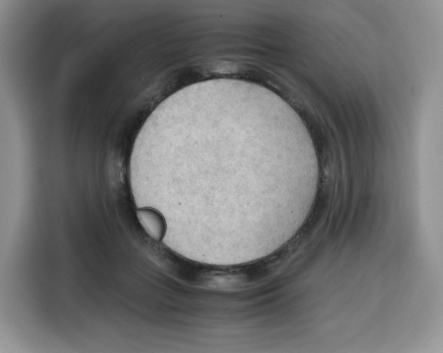 X0000115100555200911241236