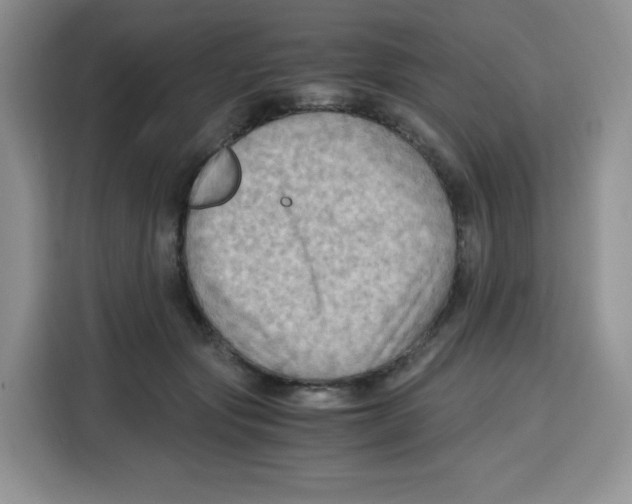 X0000115100557200911241236