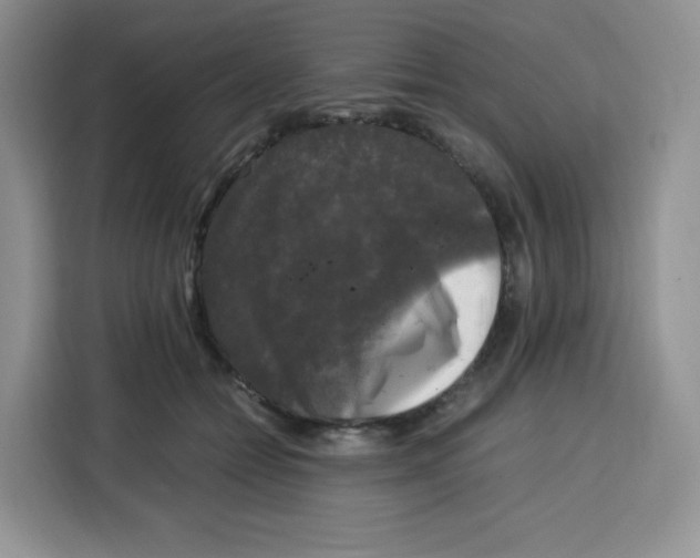 X0000115100558200911241236