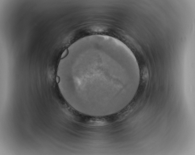 X0000115100559200911241236