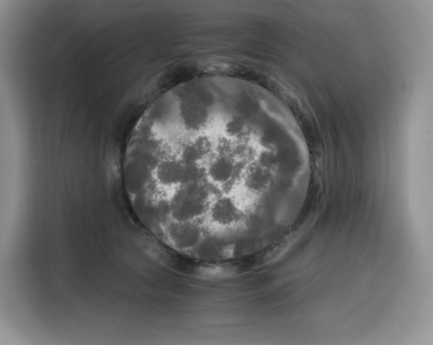 X0000115100561200911241236