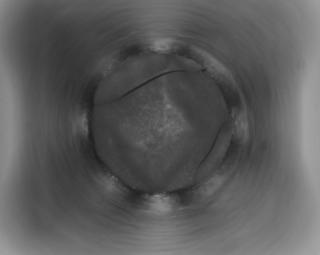 X0000115100562200911241236