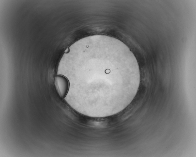 X0000115100563200911241236