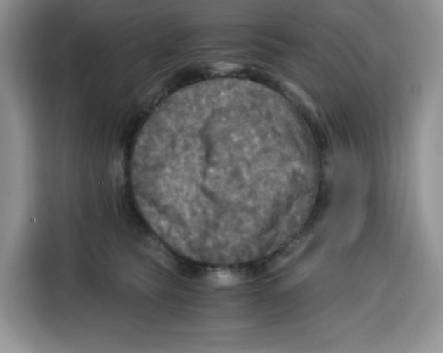 X0000115100565200911241236