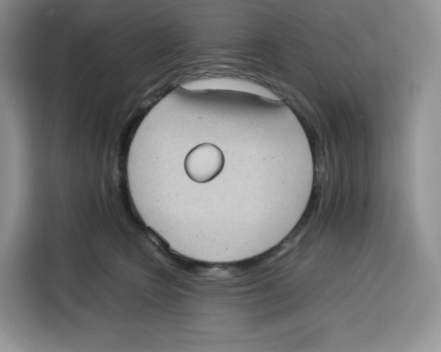 X0000115100566200911241236