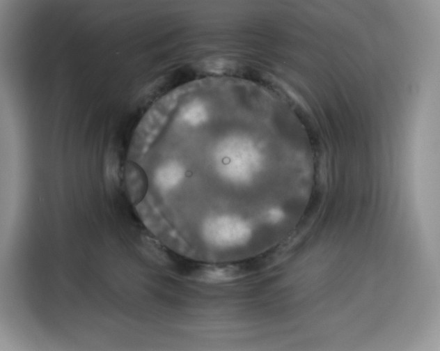 X0000115100569200911241236