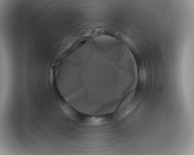 X0000115100570200911241236