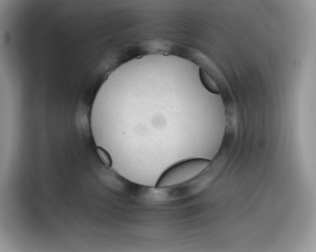 X0000115100573200911241236