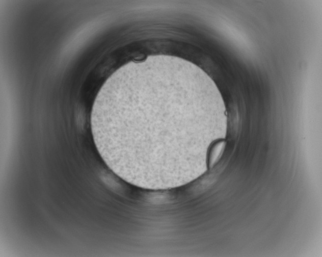 X0000115100574200911241236