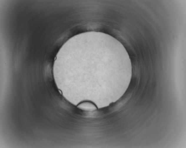 X0000115100575200911241236