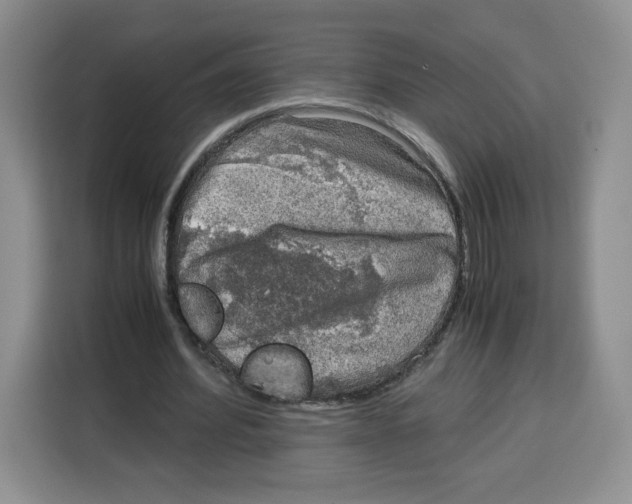 X0000115100580200911241235