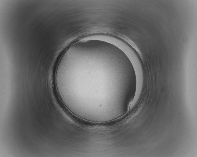 X0000115100581200911241235