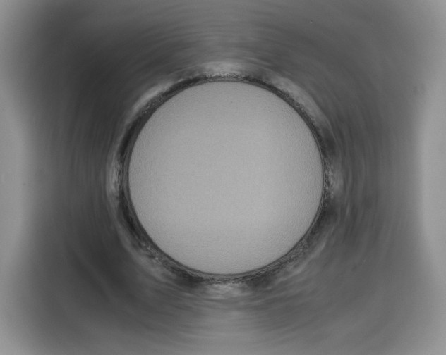 X0000115100583200911241235