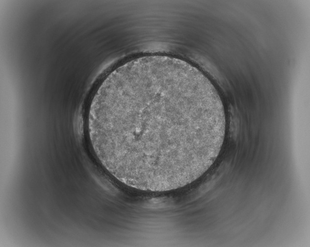 X0000115100584200911241235