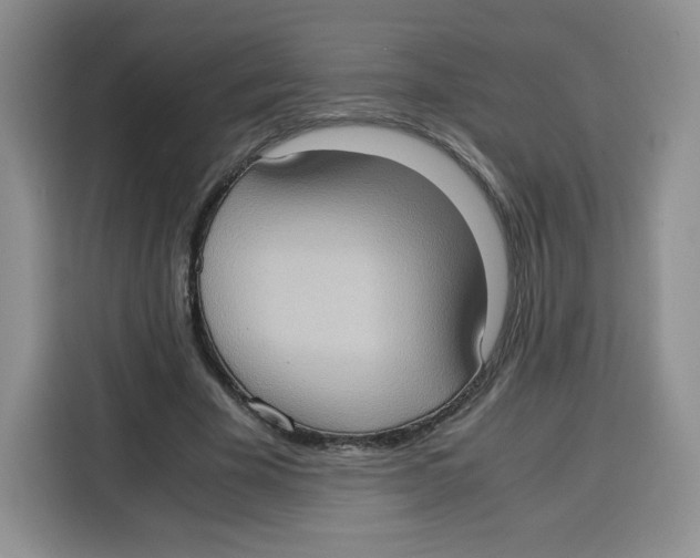 X0000115100585200911241235