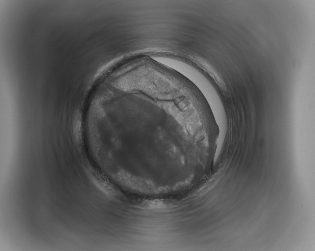 X0000115100588200911241235