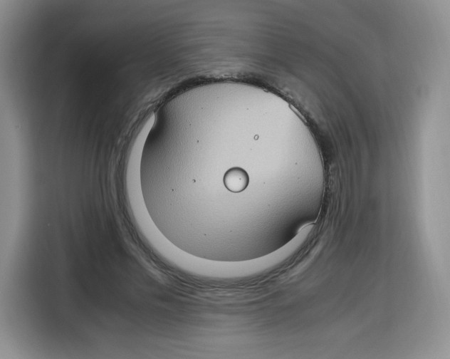 X0000115100589200911241235