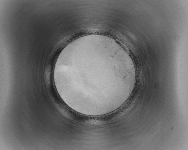 X0000115100590200911241235