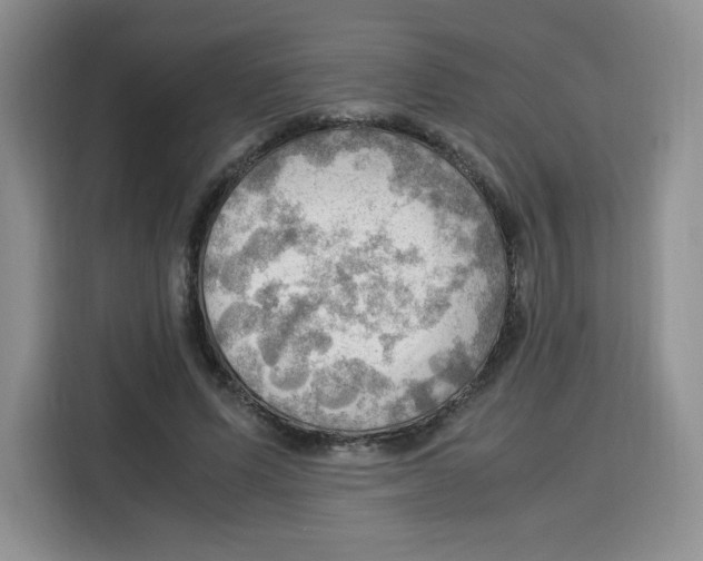 X0000115100591200911241235