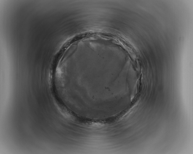 X0000115100592200911241235