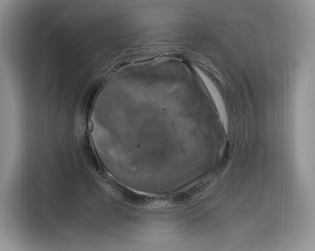 X0000115100593200911241235