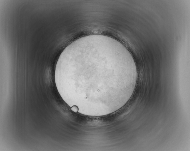 X0000115100594200911241235