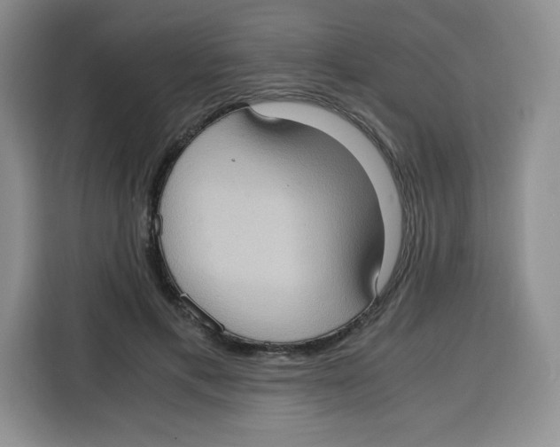 X0000115100597200911241235