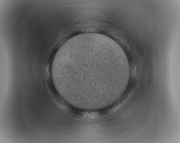 X0000115100599200911241235