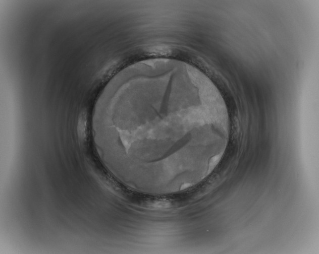 X0000115100600200911241235