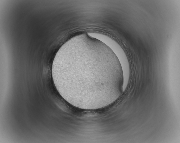 X0000115100601200911241235