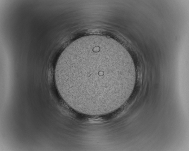 X0000115100603200911241235