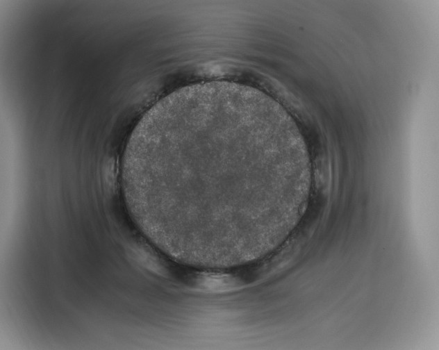 X0000115100605200911241235