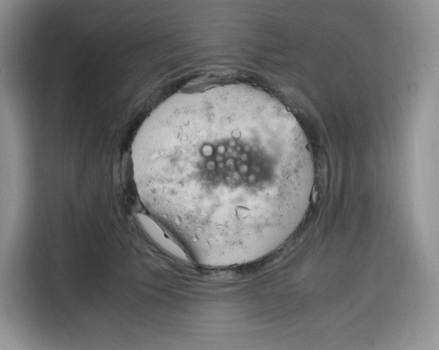 X0000115100609200911241235