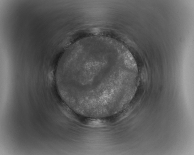 X0000115100611200911241235