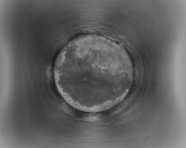 X0000115100612200911241235